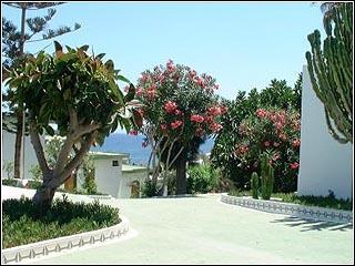 Tenerife Tour Tenerife Island Exterior photo